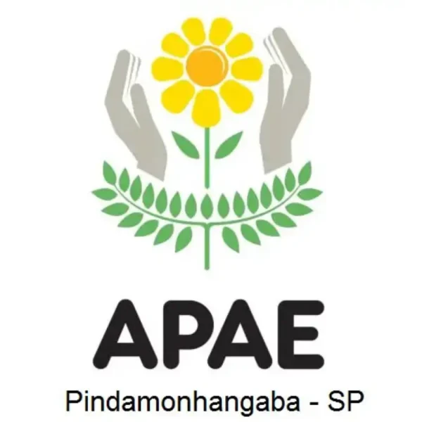 Labirinto Colorido - parceria com APAE de PINDA.